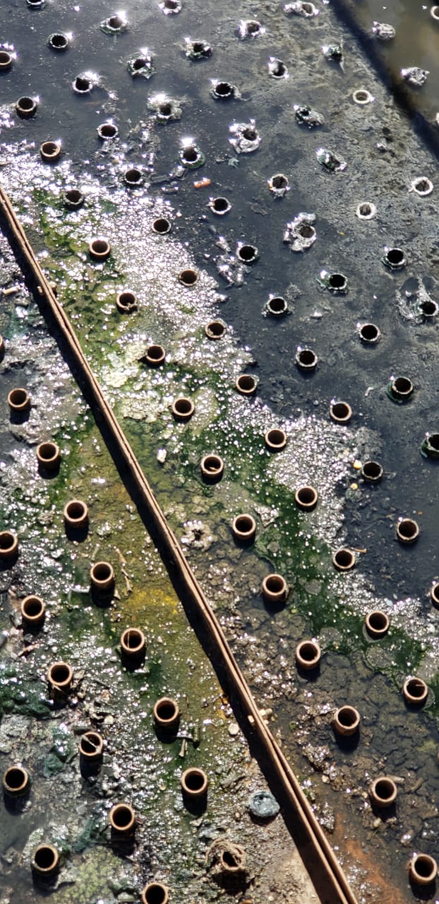 WhatsApp Image 2019-07-25 at 10.22.33.jpeg