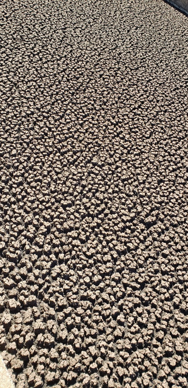 WhatsApp Image 2019-07-25 at 10.22.34 (7).jpeg