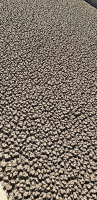 WhatsApp Image 2019-07-25 at 10.22.34 (7).jpeg