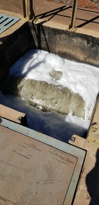 WhatsApp Image 2019-07-25 at 10.22.35.jpeg