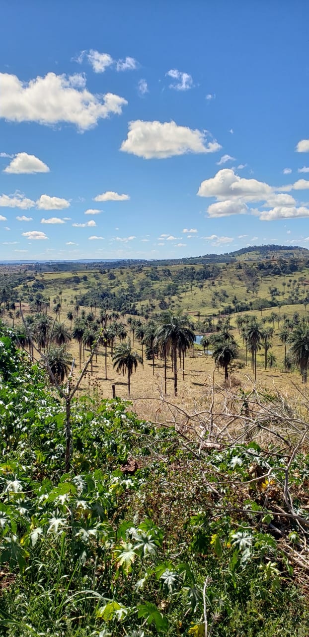 WhatsApp Image 2019-07-25 at 10.23.37 (2).jpeg