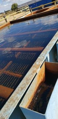 WhatsApp Image 2019-07-25 at 10.23.39 (10).jpeg