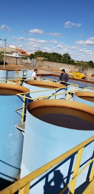 WhatsApp Image 2019-07-25 at 10.23.39 (8).jpeg