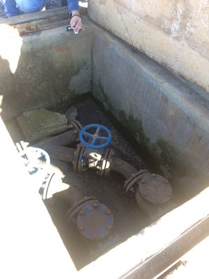 WhatsApp Image 2019-07-25 at 11.51.18.jpeg