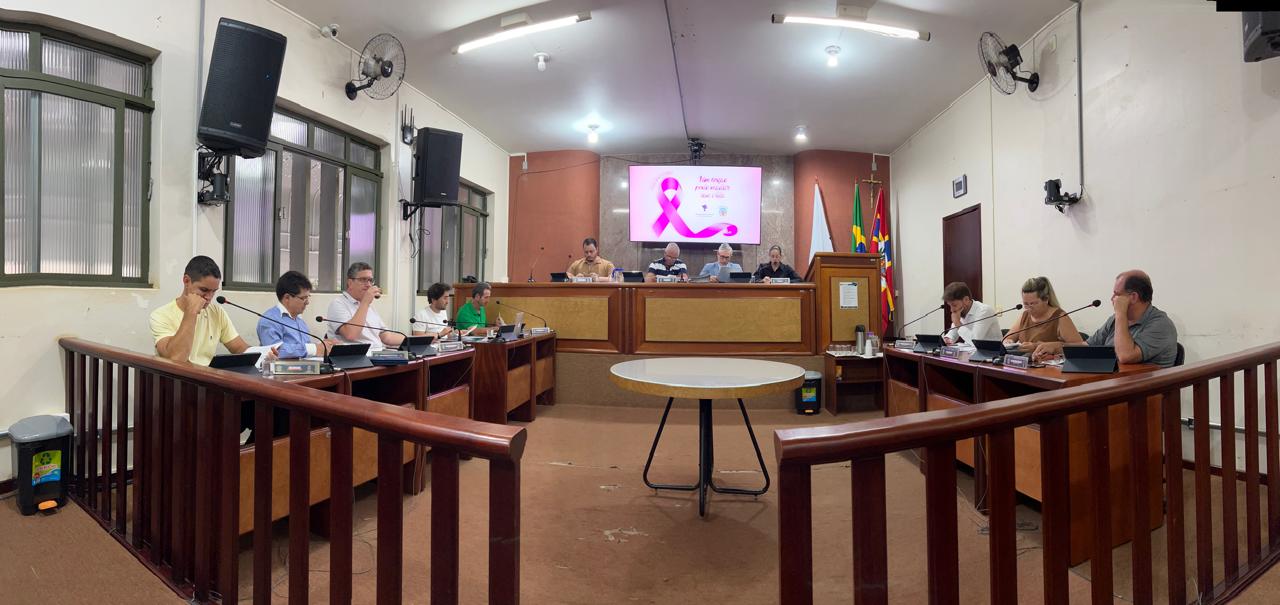 Vereadores aprovam projetos sobre vandalismo, identificação profissional e licença-maternidade
